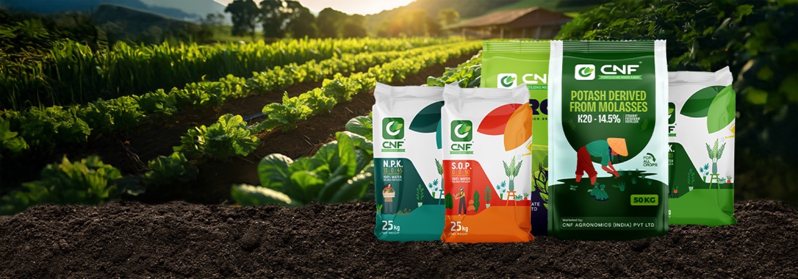 CNF fertilizer bags on a field bund