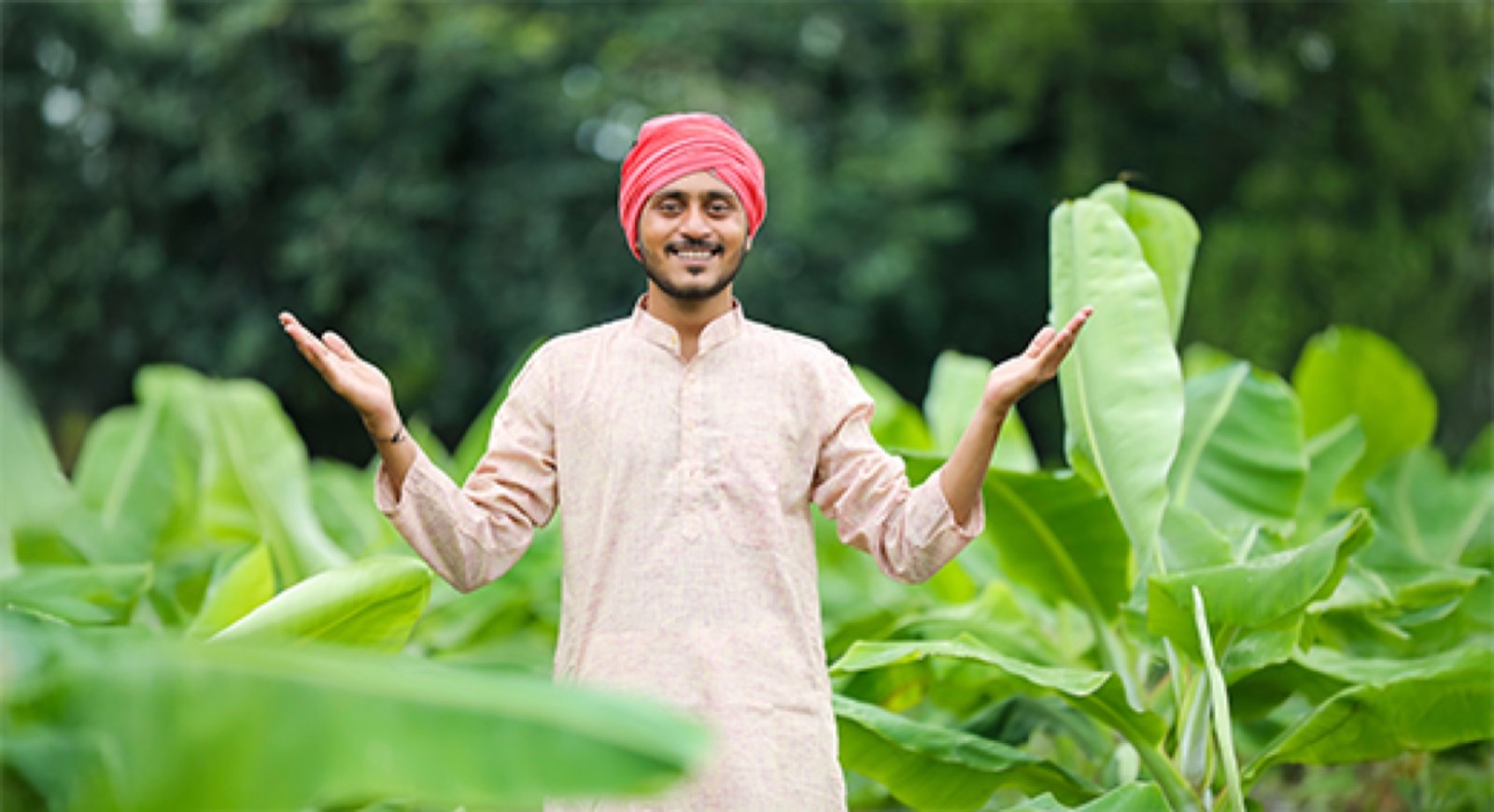 Farmer standing in a leafy green crop